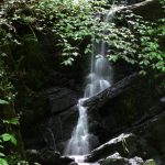 Cregagh Glen & Lisnabreeny Waterfall