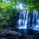Tollymore Forest Park & Waterfall