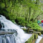 Cladagh Glen - Marlbank National Nature Reserve