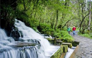 Cladagh Glen - Marlbank National Nature Reserve